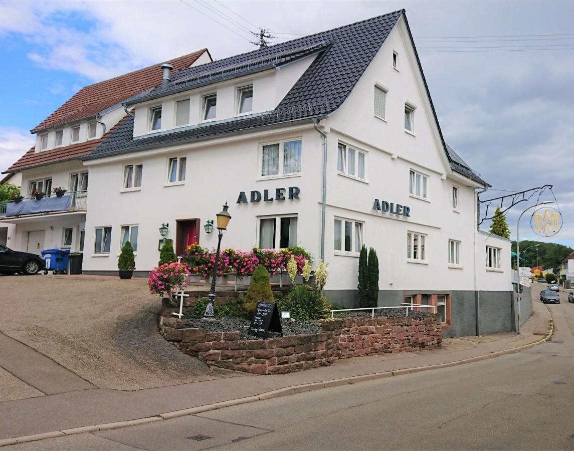 Adler Calw